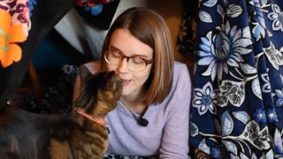 Screen Shot 2020-11-04 at 1.05.56 PM